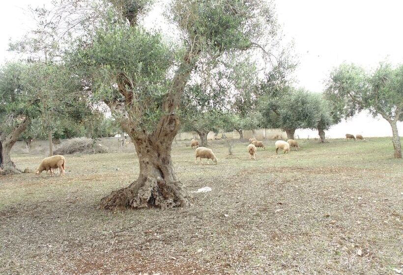 هتل Welcome To Alberobello