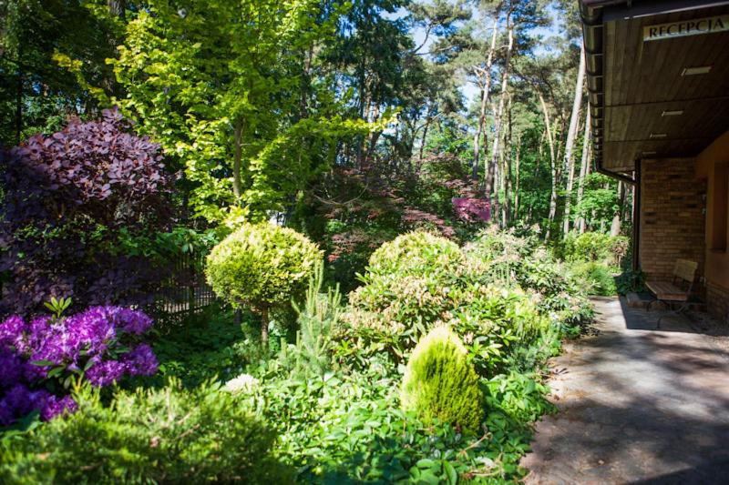 ホテル Willa Gryf