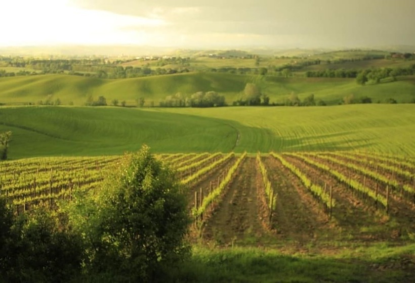 ホテル Wine Resort Colsereno