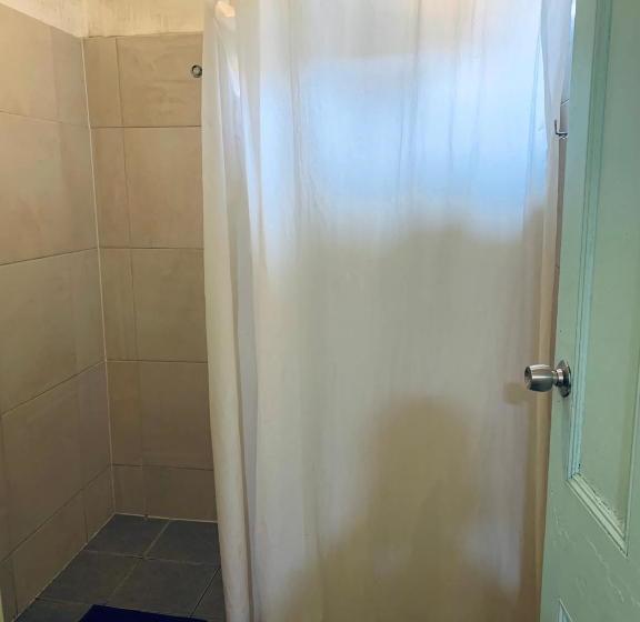 فندق Yellow Submarine Backpackers