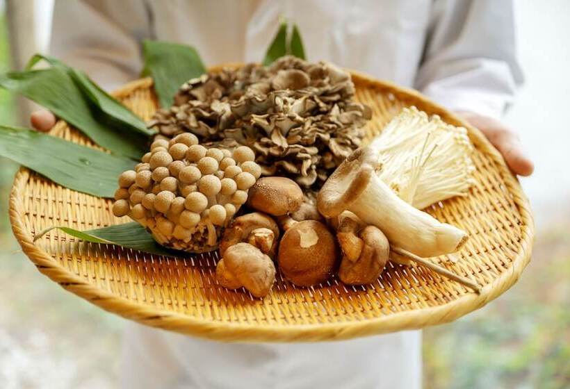 בית מלון כפרי Yutoria Fujisato