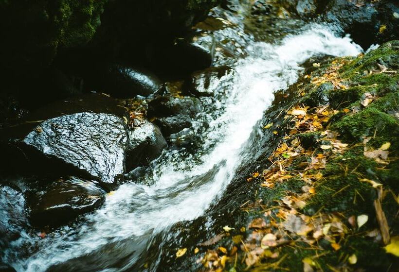 בית מלון כפרי Yutoria Fujisato