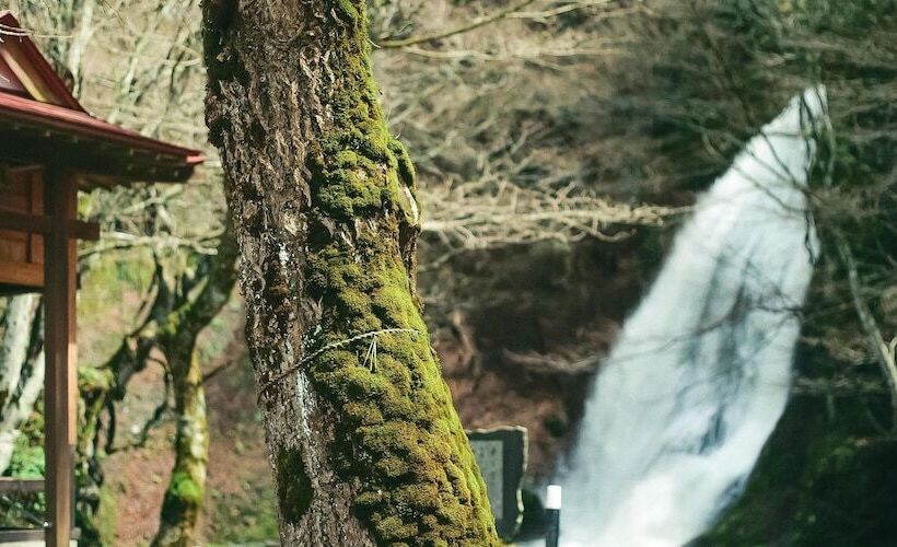 בית מלון כפרי Yutoria Fujisato