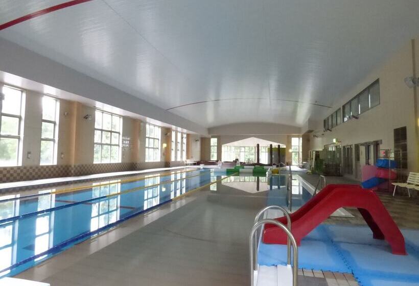 Romantopia, A Landscape Of Forest And Stars, The Swan, Hotel Of Stars