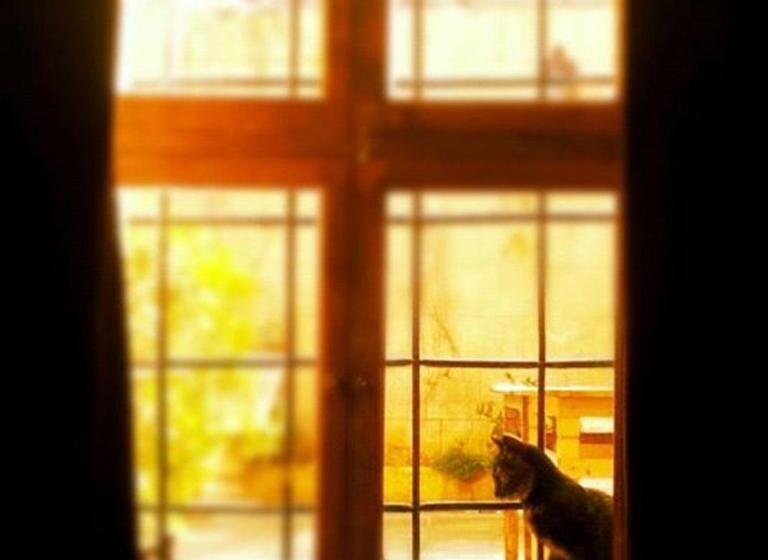 هتل Ali Bey Konagi