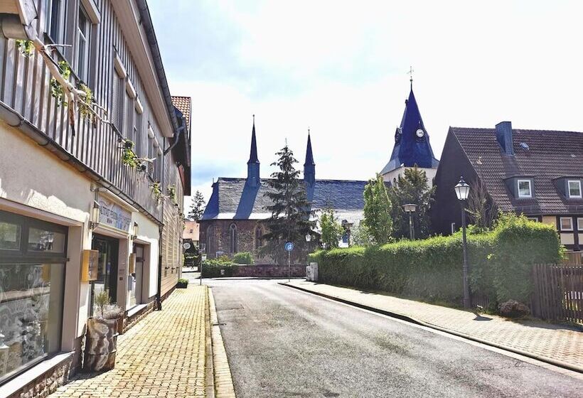 호텔 Altstadt Pension Orchidee