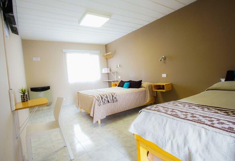 فندق Amigo Del Mundo