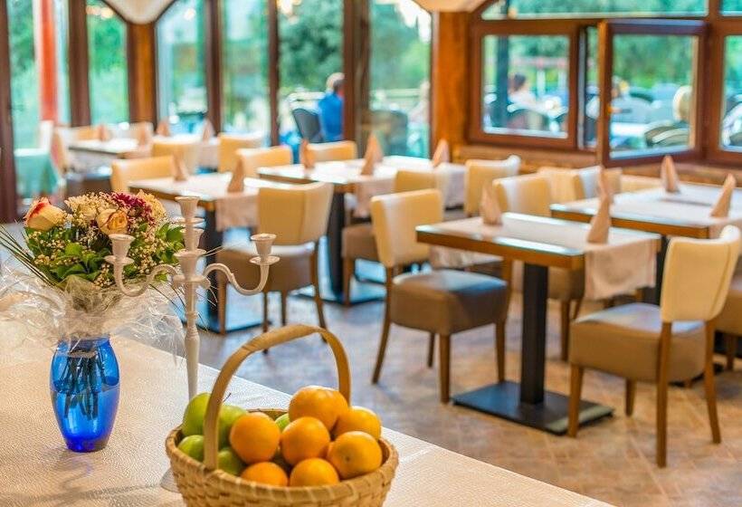 호텔 Apartments And Rooms With Wifi Vrsar, Porec   3007