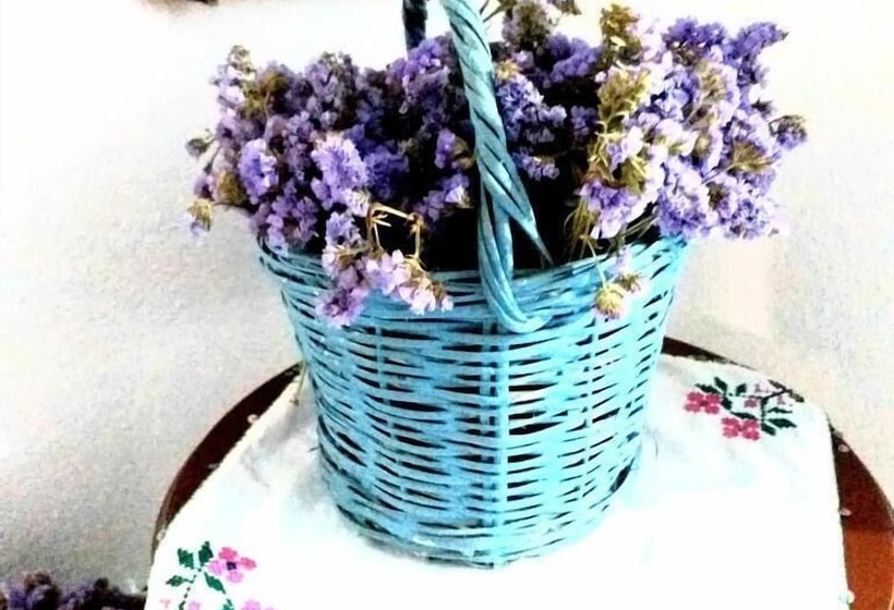 ホテル Ayvalık 1881 Pansiyon