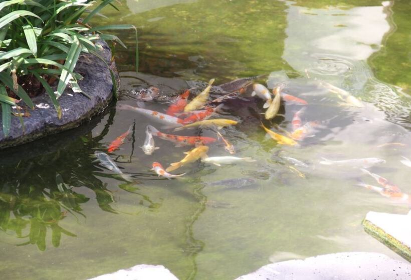 هتل Caty Muine Beach Resort & Spa