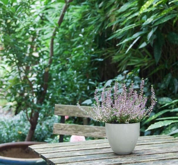 酒店 Citypension Bonn