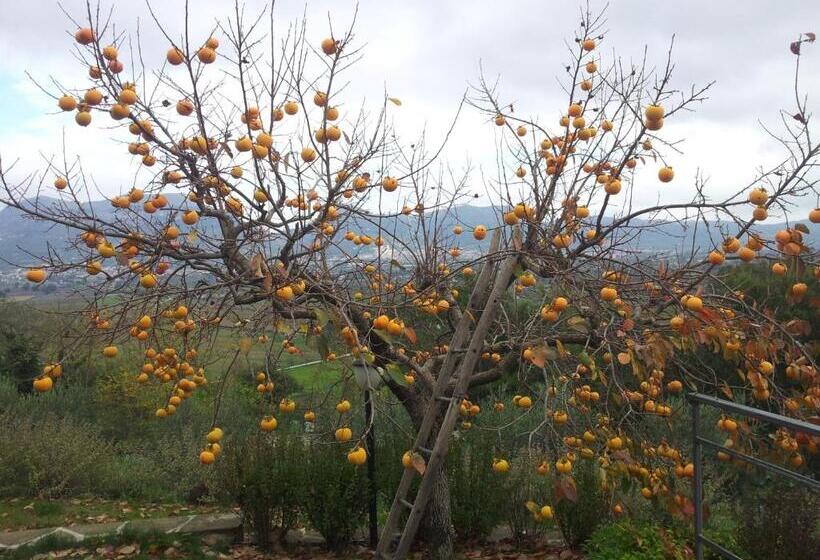 בית מלון כפרי Fonte Chiara