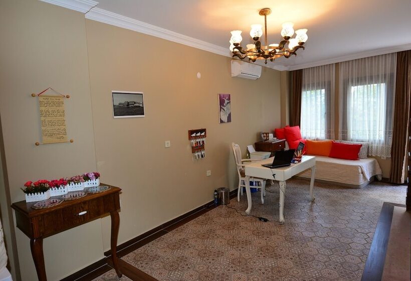 בית מלון כפרי Hayriye Hanim Ege