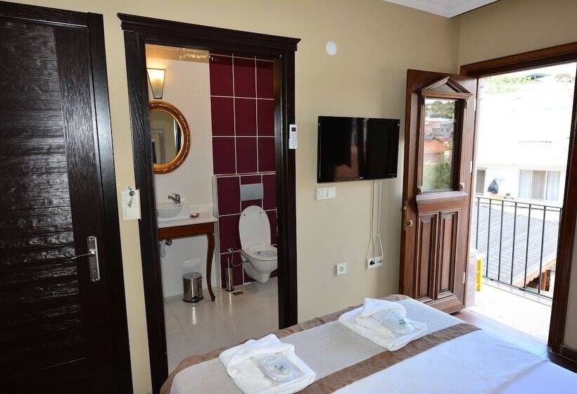 בית מלון כפרי Hayriye Hanim Ege