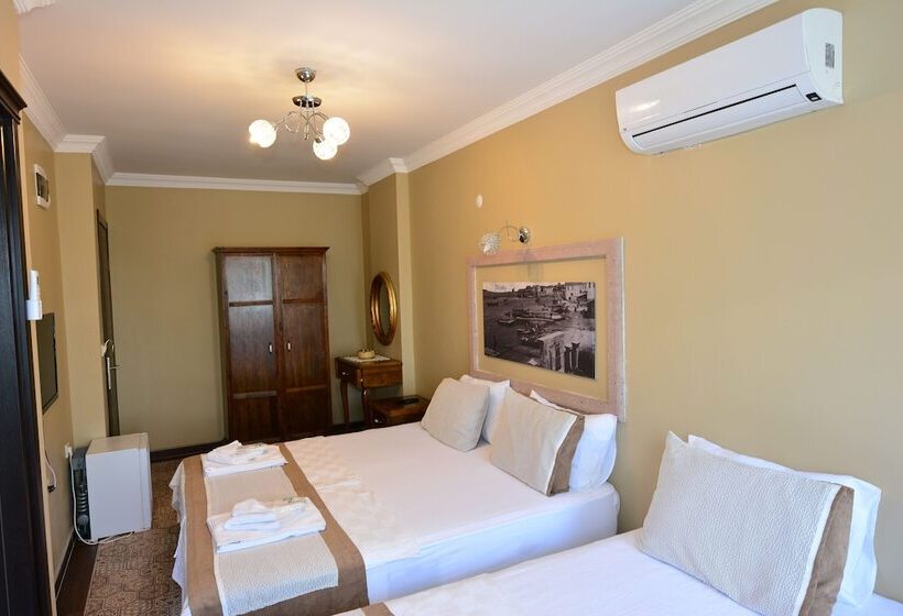 בית מלון כפרי Hayriye Hanim Ege