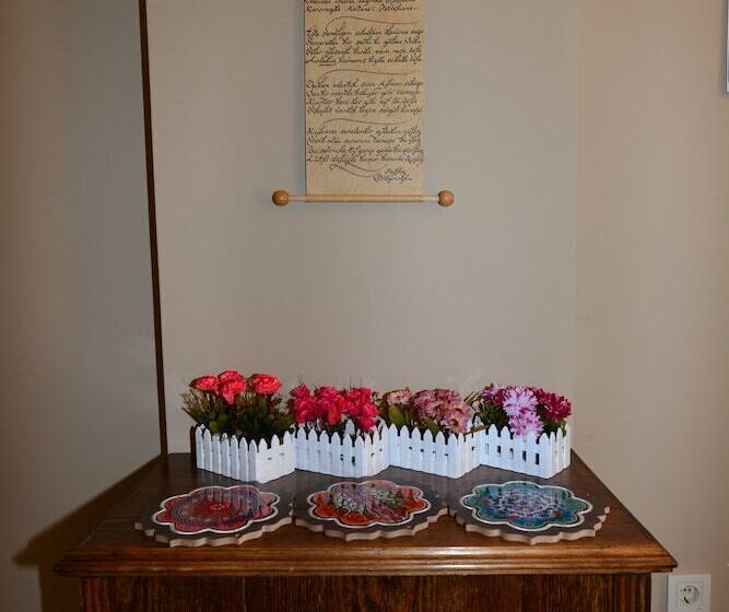 בית מלון כפרי Hayriye Hanim Ege