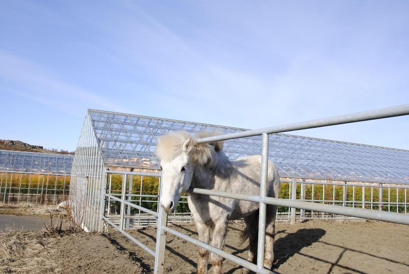 هتل Hótel Varmaland