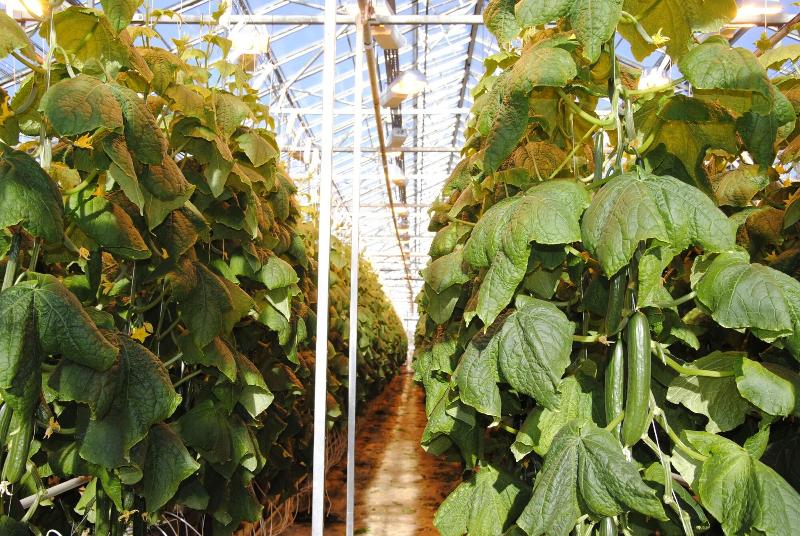 هتل Hótel Varmaland