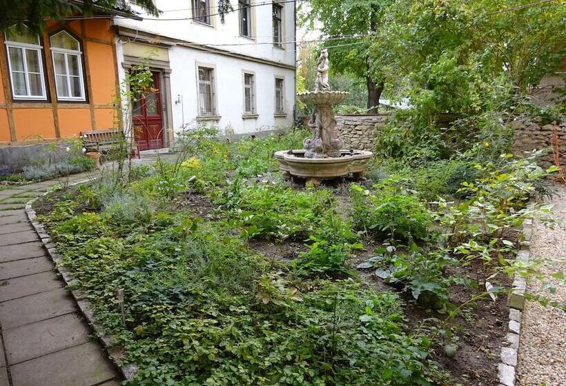 酒店 Hummel Hostel Historische Stadtvilla Mit Garten