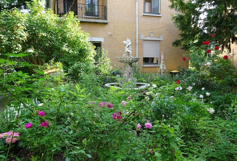 酒店 Hummel Hostel Historische Stadtvilla Mit Garten