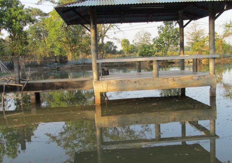 בית מלון כפרי Mountain View Guest House