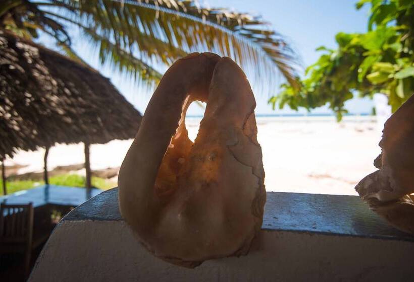 Отель Ocean Breeze Lodge