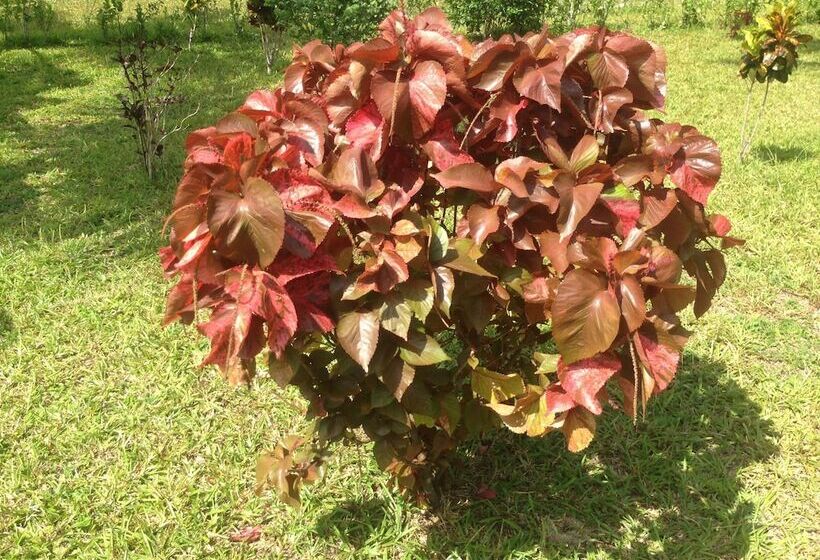 Отель Ocean Breeze Lodge