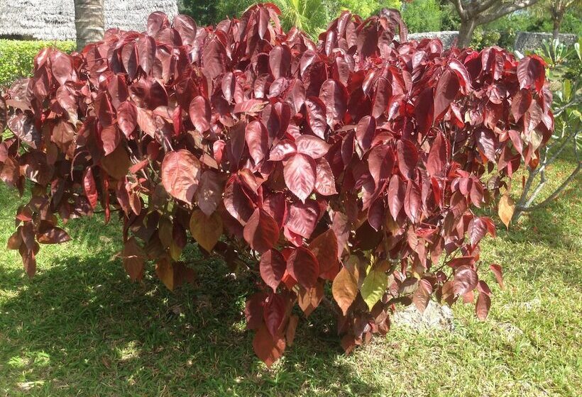 Отель Ocean Breeze Lodge