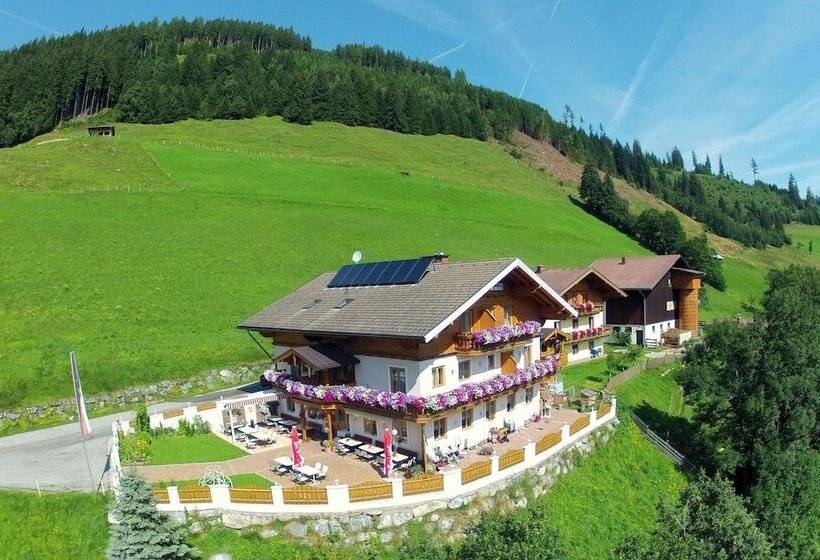 בית מלון כפרי Pension Lackenbauer