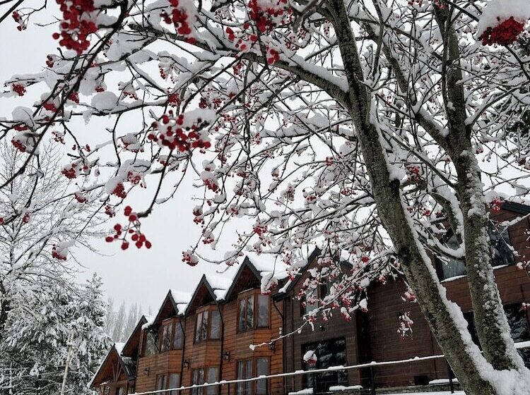 酒店 Posada Del Ciprés