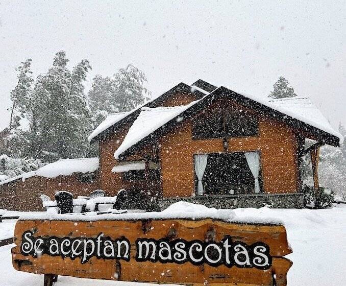 酒店 Posada Del Ciprés