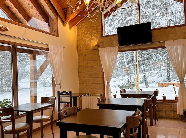 酒店 Posada Del Ciprés