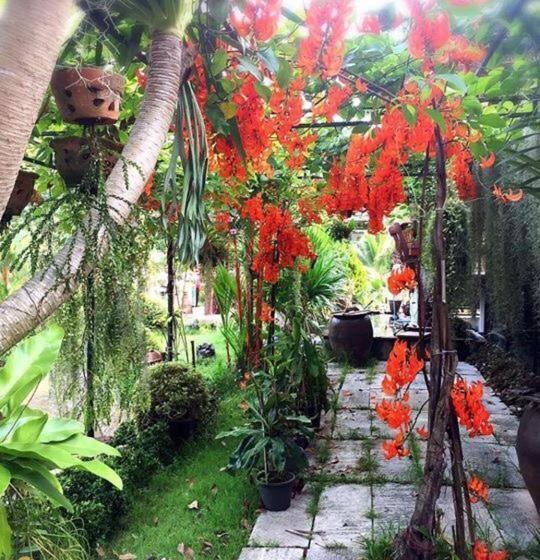 호텔 Ruean Thai Nai Bang By Pansak Resort