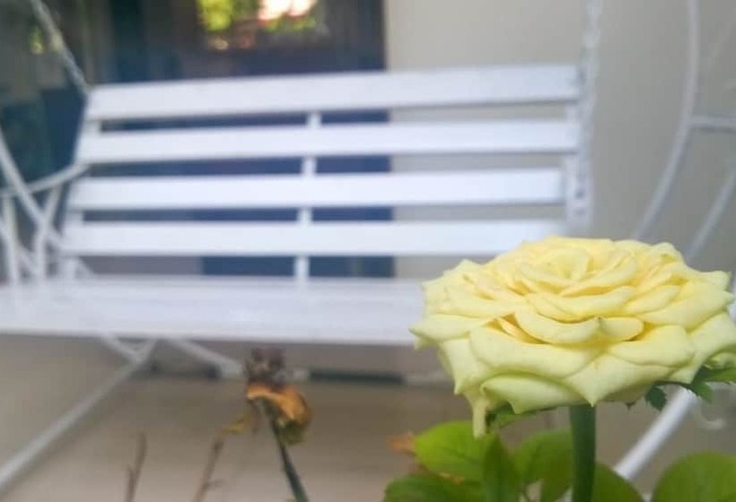 هتل Sac Xanh Homestay