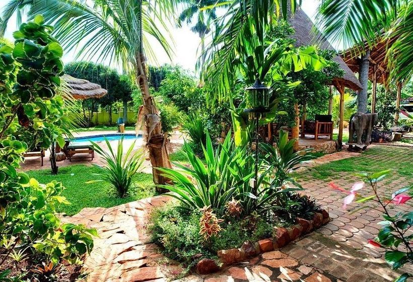 هتل Source Of The Smile