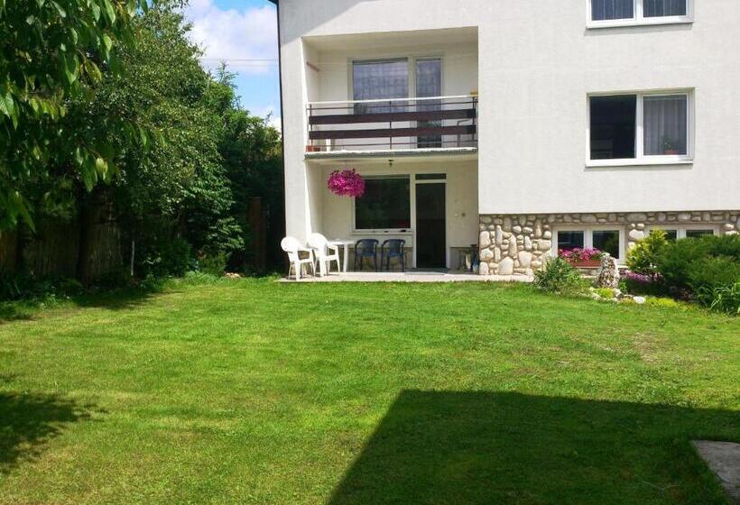 فندق Sunnystreet Guesthouse