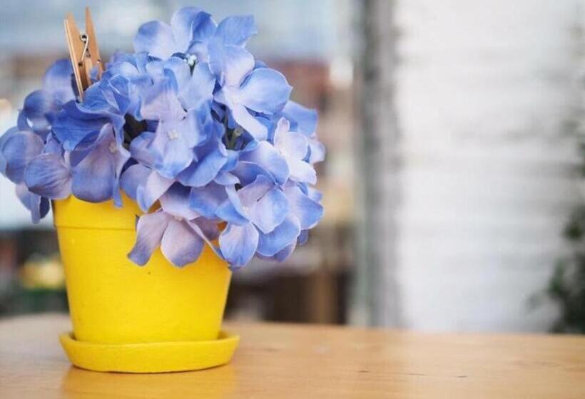 בית מלון כפרי The Sugar Hostel