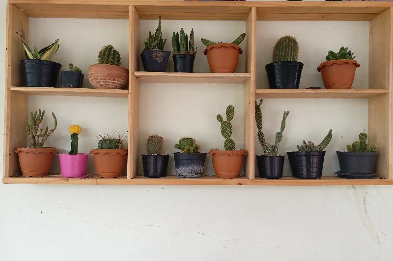 בית מלון כפרי Tongprasit Place