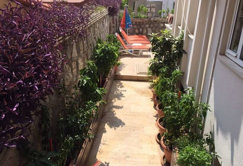 فندق Villa Dream Apart