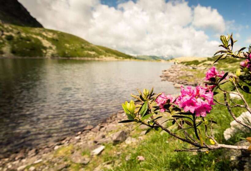 בית מלון כפרי Villa Orania