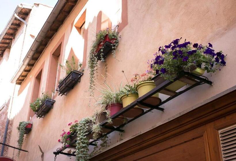 酒店 Zenao Albi Résidence Stella