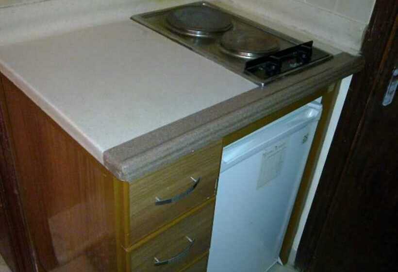 酒店 Al Baron Palace