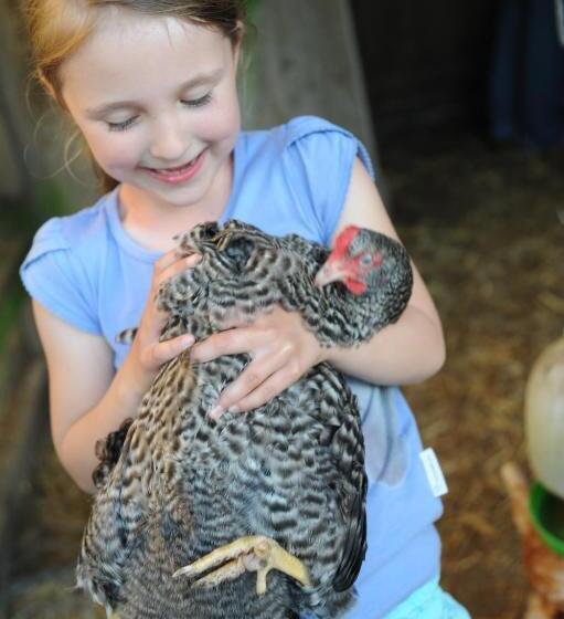 酒店 Bauernhof Köhlbrandt