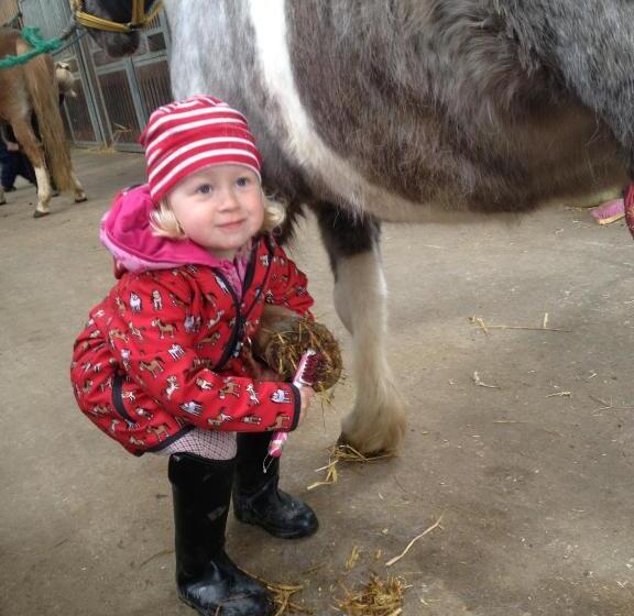 酒店 Bauernhof Köhlbrandt