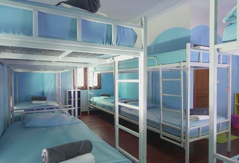 Отель Blessing Backpackers