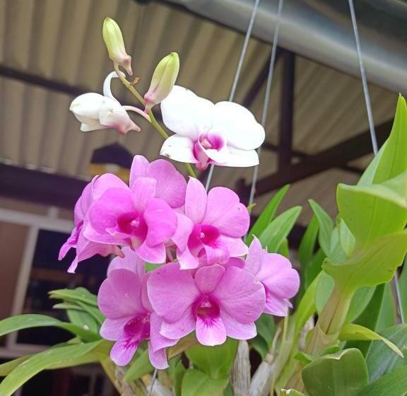 Отель Boonya Resort Koh Chang