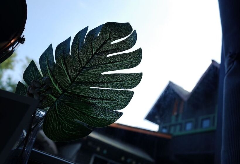 בית מלון כפרי Chiangmai Moli Inn   Hostel