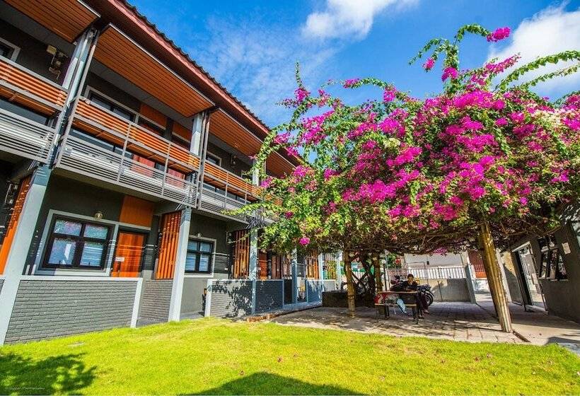 בית מלון כפרי Chiangmai Moli Inn   Hostel