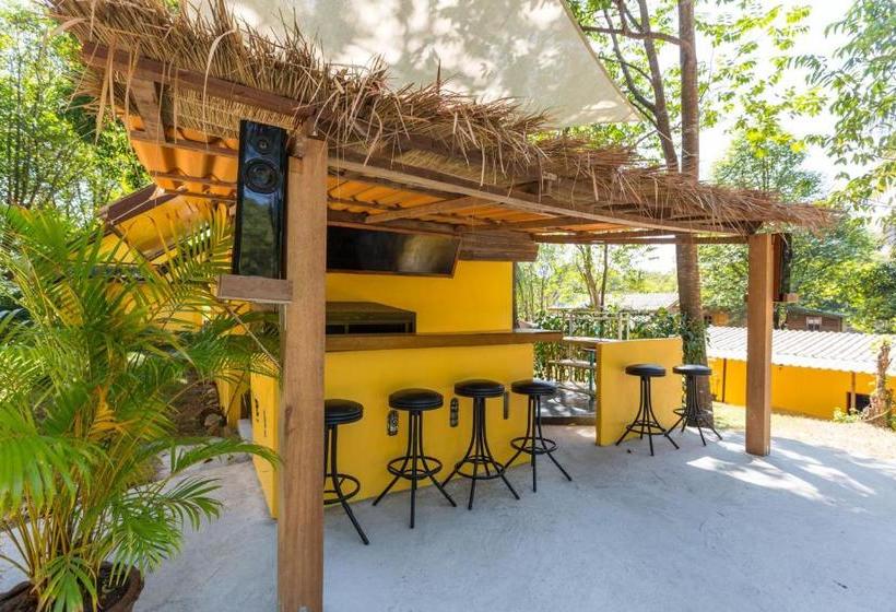 Отель Coconut Garden