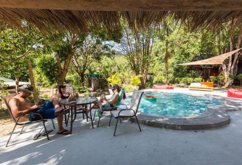 Отель Coconut Garden